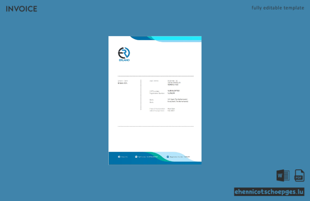Niederlande Erlano B. V. Firmenrechnung 1 Beispielvorschau
